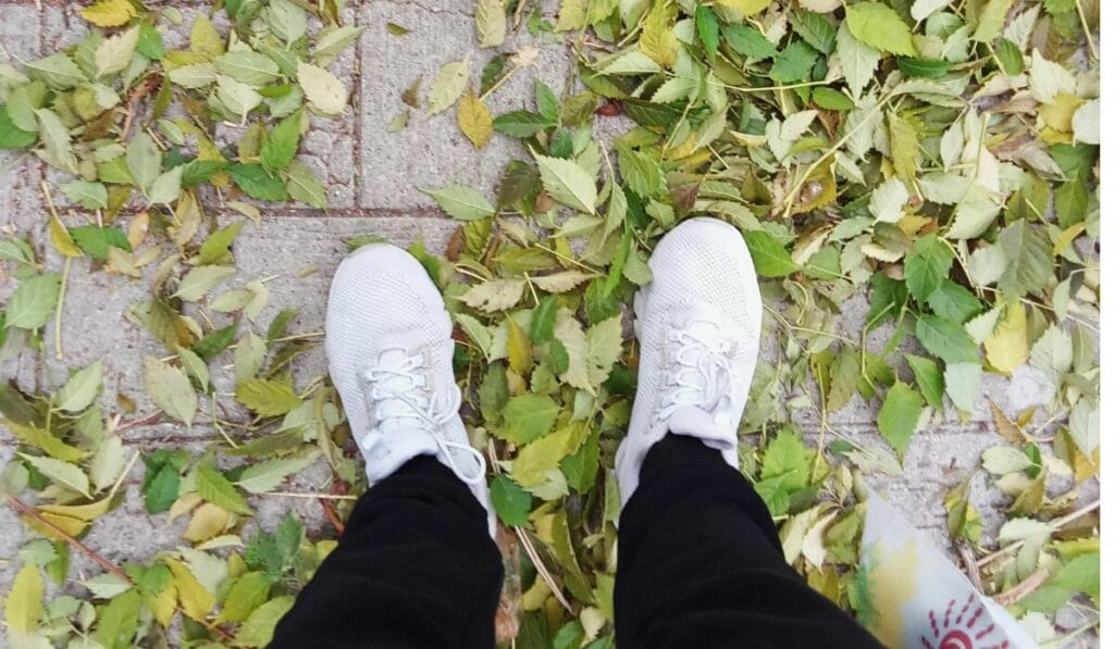 Top view of a person wearing white walking shoes standing on a path covered with dry autumn leaves.